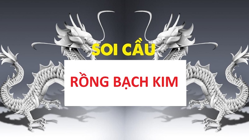 Soi Cầu Rồng Bạch Kim Miền Bắc - Tuyệt Chiêu Của Các Cao Thủ! - zipotu.im - zipotu