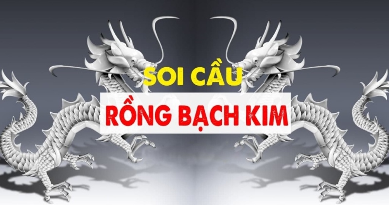 Phương Pháp Soi Cầu Xổ Số Miền Bắc Rồng Bạch Kim Hôm Nay - zipotu.im - zipotu