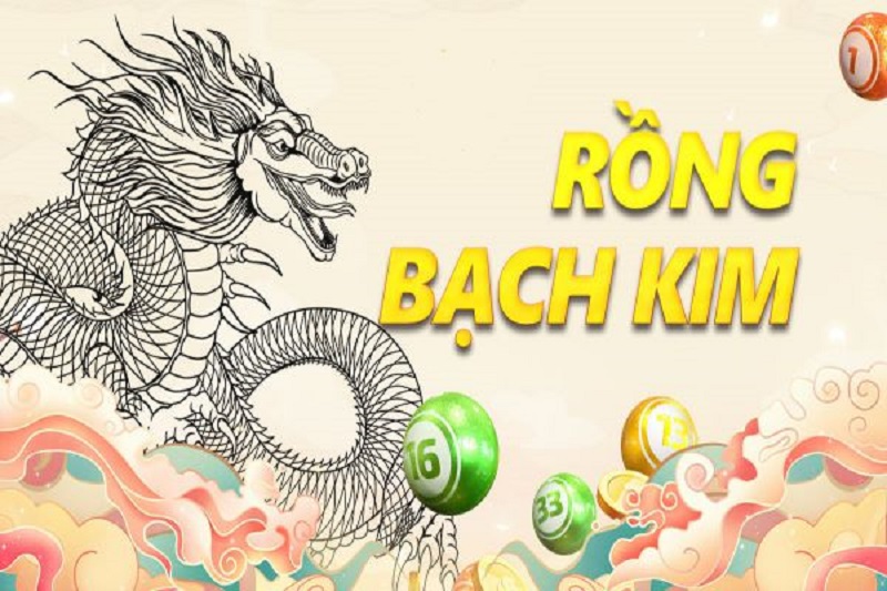 Soi Cầu Rồng Bạch Kim Miền Bắc - Tuyệt Chiêu Của Các Cao Thủ! - zipotu.im - zipotu