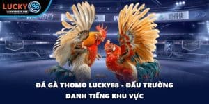 Đá Gà Lucky88 – Trường Gà Trực Tuyến Uy Tín Hàng Đầu - zipotu