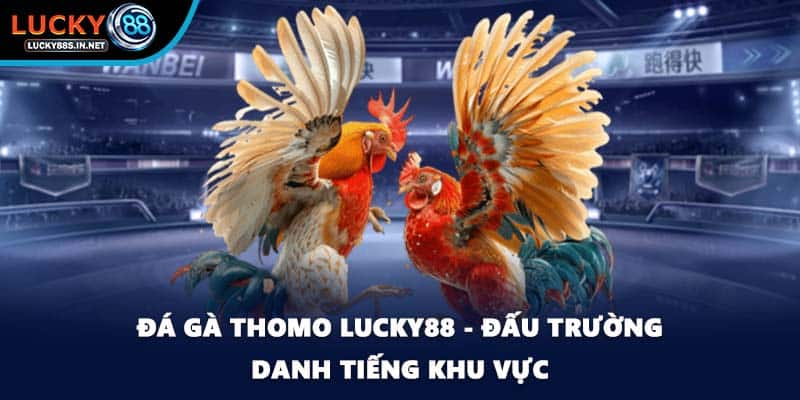 Đá Gà Chọi - Luật Đấu Và Cách Theo Dõi Kèo Dễ Hiểu - zipotu