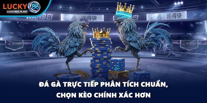 Đá gà trực tiếp - Xem Thật Chơi Thật Tại Nhà Cái Lucky88  - zipotu