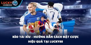 Thể Thao Lucky88 – Sảnh Cá Độ Thể Thao Trực Tuyến Đỉnh Cao - zipotu