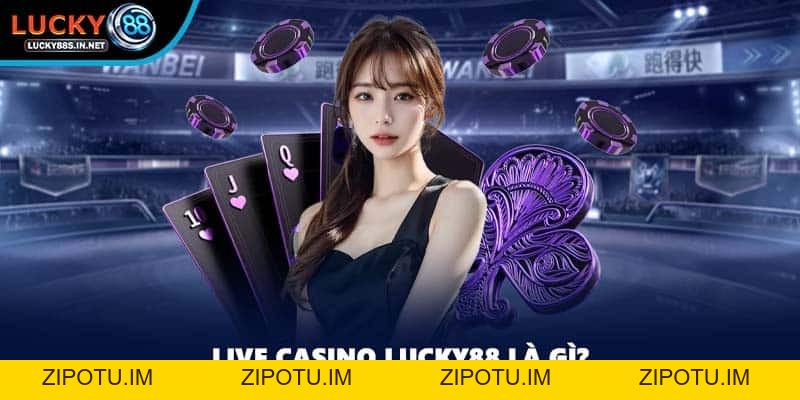Live Casino Lucky88 – Trải Nghiệm Casino Trực Tuyến Sống Động - zipotu