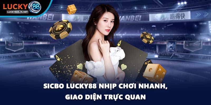 Sicbo - Trò Chơi Xúc Xắc Đầy Hấp Dẫn Tại Lucky88  - zipotu