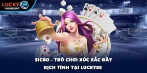 Live Casino Lucky88 – Trải Nghiệm Casino Trực Tuyến Sống Động - zipotu