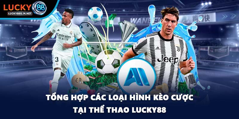 Thể Thao Lucky88 – Sảnh Cá Độ Thể Thao Trực Tuyến Đỉnh Cao - zipotu