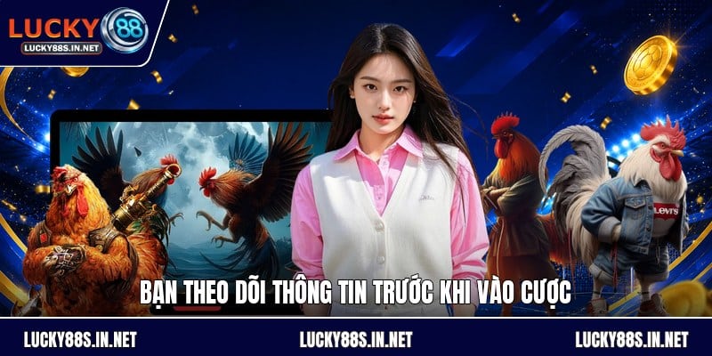Kèo Bắt Đá Gà - Hướng Dẫn Đọc Kèo Và So Sánh Tỷ Lệ - zipotu