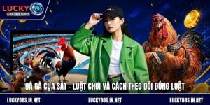 Đá Gà Lucky88 – Trường Gà Trực Tuyến Uy Tín Hàng Đầu - zipotu