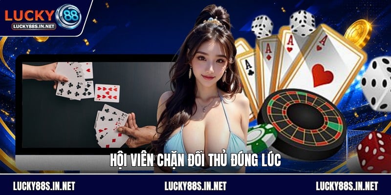 Mẹo Chơi Tiến Lên - Cách Đánh Bài Hiệu Quả Dễ Hiểu - zipotu