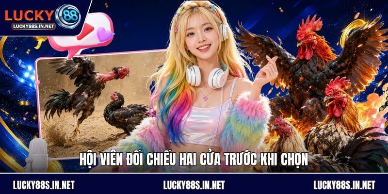 Kèo Bắt Đá Gà - Hướng Dẫn Đọc Kèo Và So Sánh Tỷ Lệ - zipotu