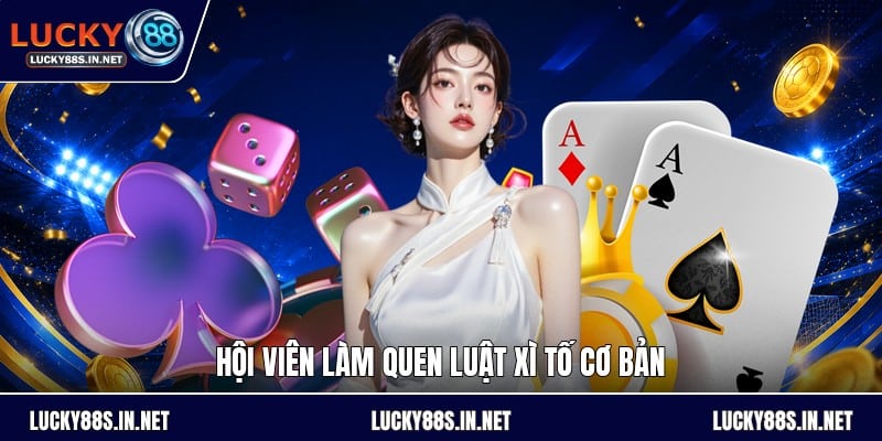 Cách Chơi Bài Xì Tố - Luật Chơi Và Cách Đọc Thế Bài - zipotu