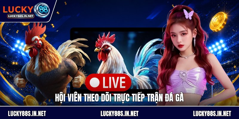 Trực Tiếp Trận Đá Gà - Theo Dõi Nguồn Phát Hợp Pháp - zipotu