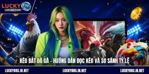 Đá Gà Lucky88 – Trường Gà Trực Tuyến Uy Tín Hàng Đầu - zipotu