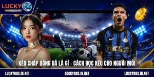 Thể Thao Lucky88 – Sảnh Cá Độ Thể Thao Trực Tuyến Đỉnh Cao - zipotu