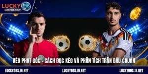 Thể Thao Lucky88 – Sảnh Cá Độ Thể Thao Trực Tuyến Đỉnh Cao - zipotu