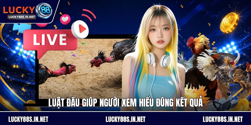 Đá Gà Chọi - Luật Đấu Và Cách Theo Dõi Kèo Dễ Hiểu - zipotu