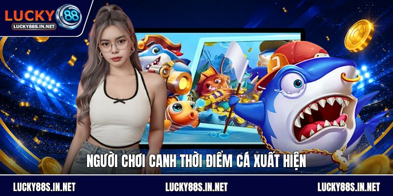 Cách Bắn Cá Rồng - Hướng Dẫn Chọn Đạn Và Săn Boss Lớn - zipotu