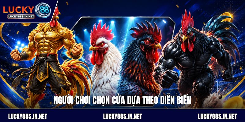 Đá Gà Cựa Dao - Luật Chơi Và Cách Theo Dõi Chi Tiết - zipotu