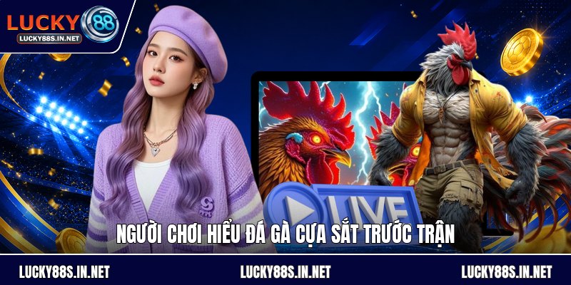 Đá Gà Cựa Sắt - Luật Chơi Và Cách Theo Dõi Đúng Luật - zipotu