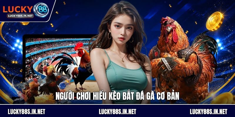 Kèo Bắt Đá Gà - Hướng Dẫn Đọc Kèo Và So Sánh Tỷ Lệ - zipotu