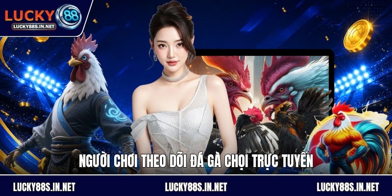 Đá Gà Chọi - Luật Đấu Và Cách Theo Dõi Kèo Dễ Hiểu - zipotu