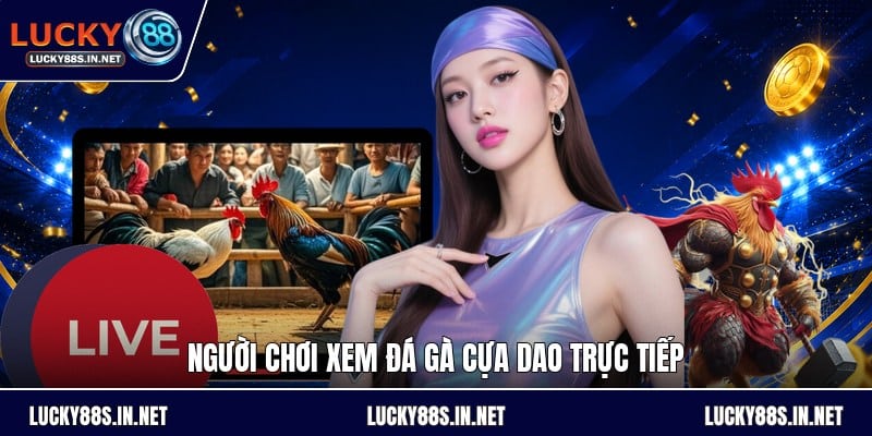 Đá Gà Cựa Dao - Luật Chơi Và Cách Theo Dõi Chi Tiết - zipotu