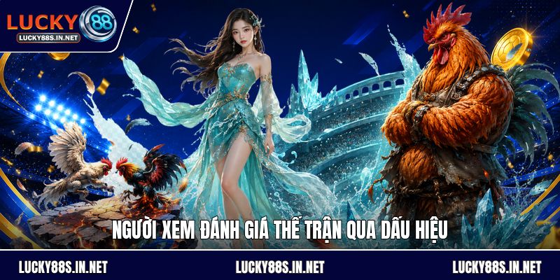 Đá Gà Chọi - Luật Đấu Và Cách Theo Dõi Kèo Dễ Hiểu - zipotu