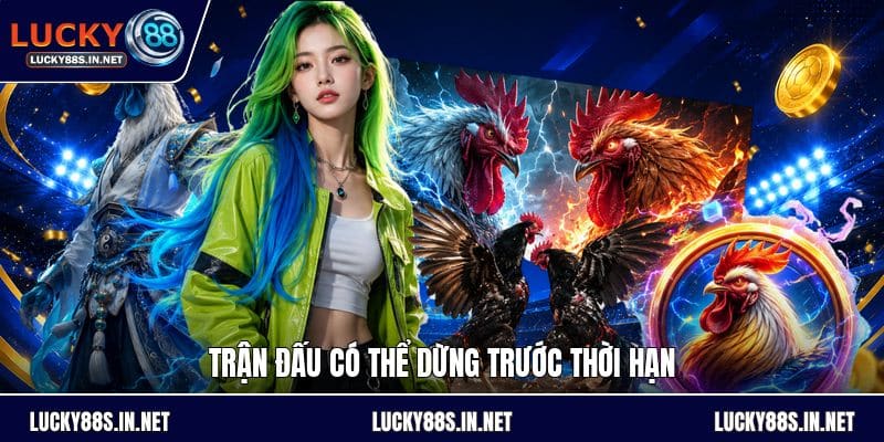Đá Gà Cựa Dao - Luật Chơi Và Cách Theo Dõi Chi Tiết - zipotu