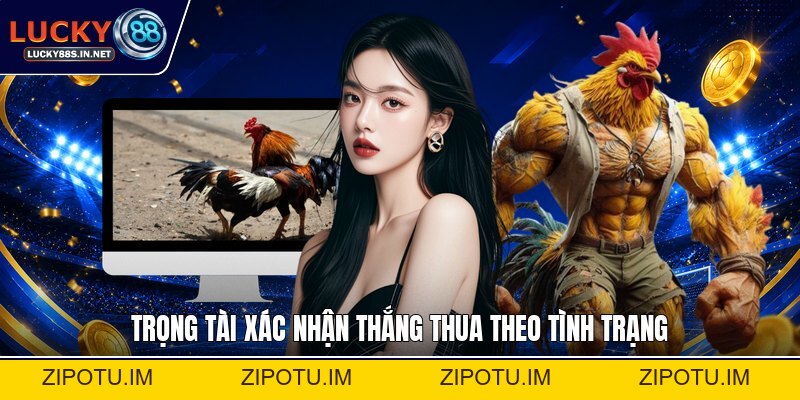 Đá Gà Cựa Sắt - Luật Chơi Và Cách Theo Dõi Đúng Luật - zipotu